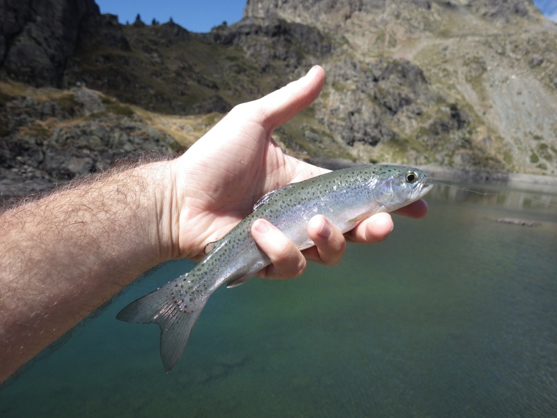 Lacs Roberts, la tête dans les nuages ! Rimg2911