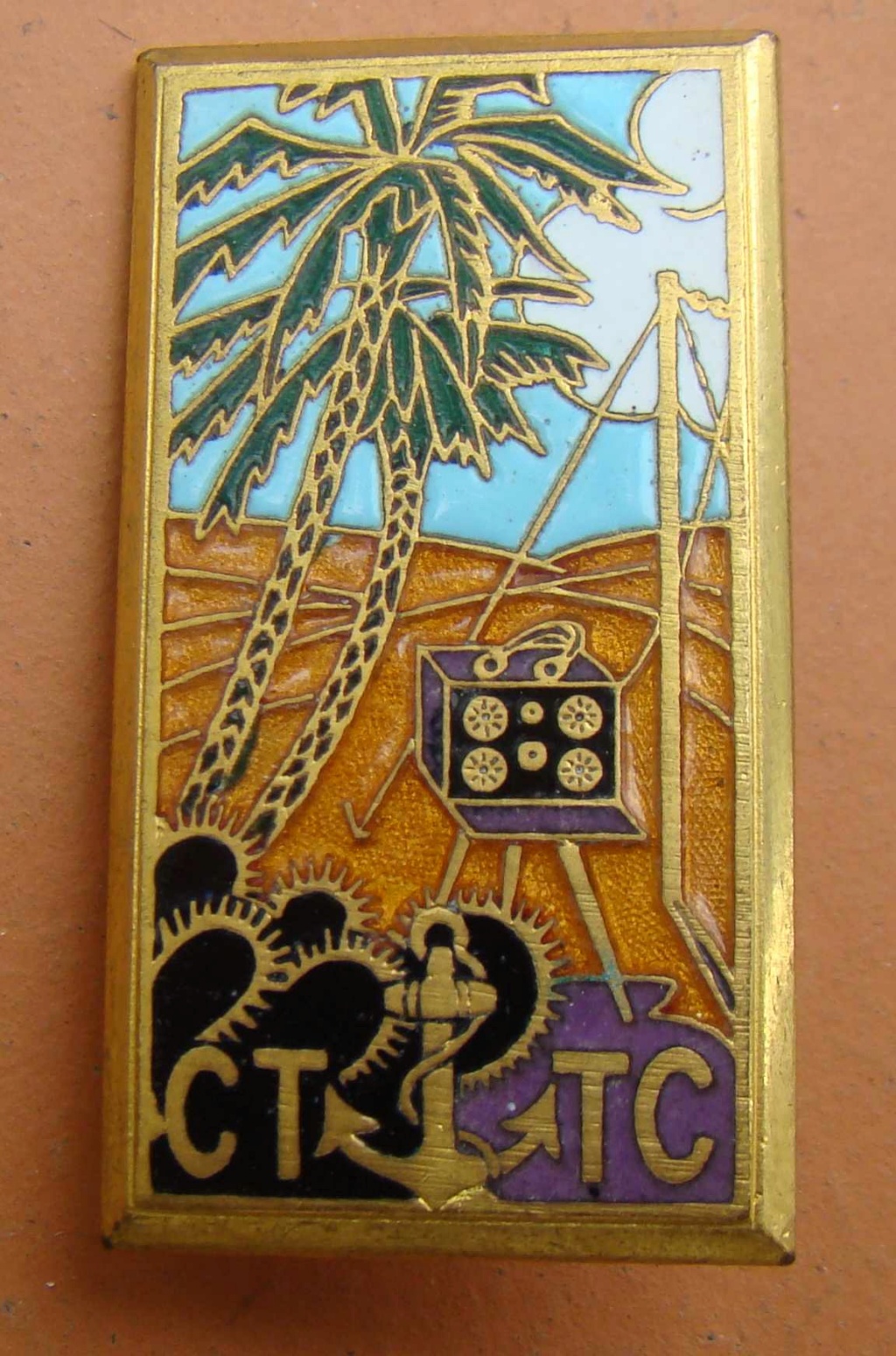 Insigne du Corps des télégraphistes coloniaux Dsc00620