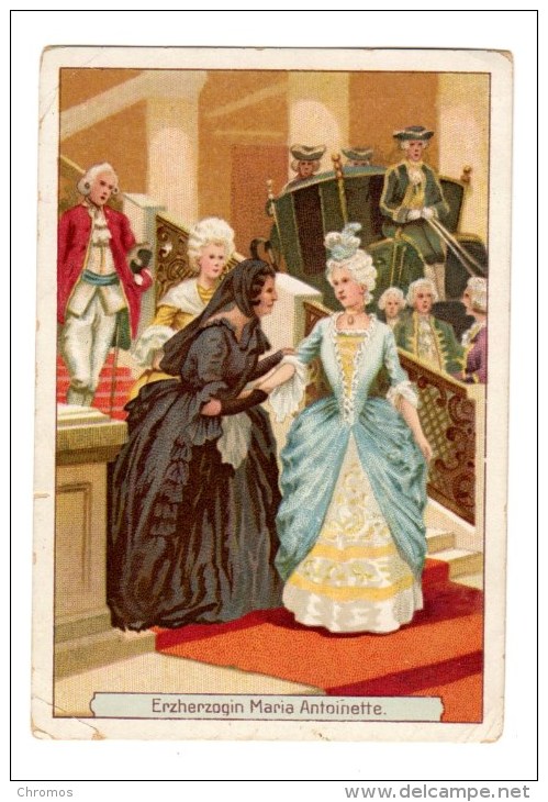 Marie-Antoinette, une princesse à la cour de Vienne. De Dominique Joly Chromo10