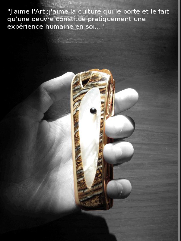 Nouvel Harmonica (Inspiration Yonbberg D1 4a10