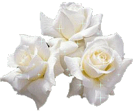 recette d'écriture 1rose010