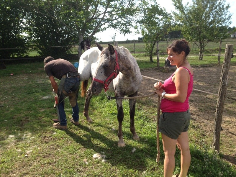 Etxola, pouliche 2 ans et demi, à adopter ! Image112