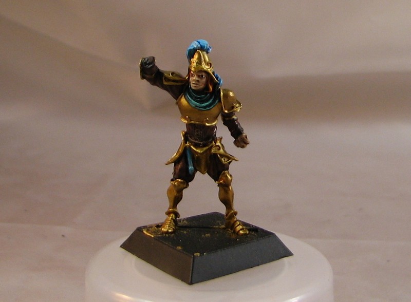 Garde d'Alahan figurine confrontation Img_0026