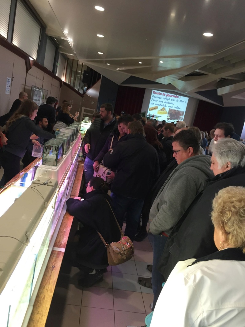 4eme Bourse aquariophile à Courchelette (59) le 4 novembre 2018 Photo510