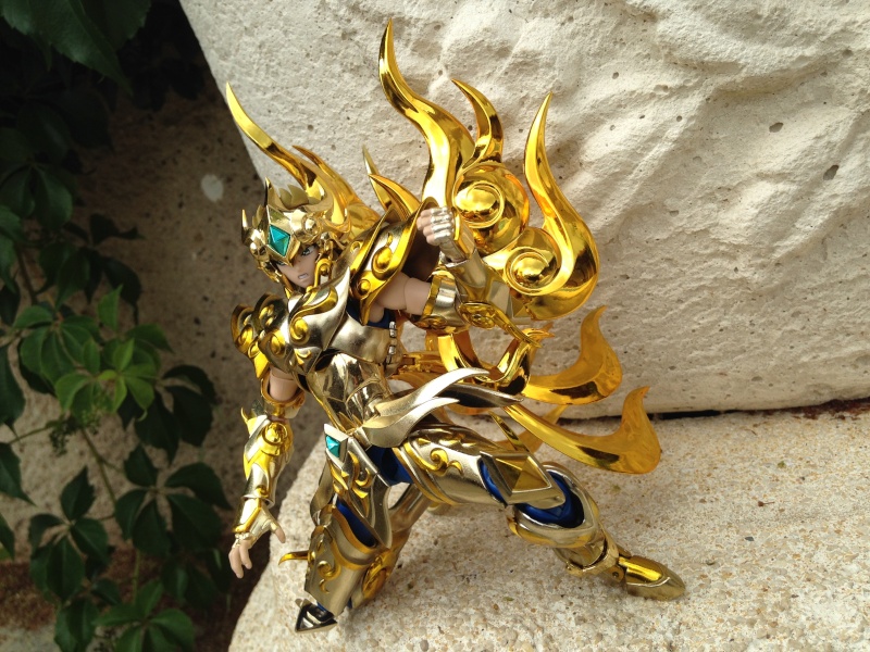 Les photos/montages de votre Myth Cloth EX du Lion Soul of Gold (God Cloth) - Page 3 Img_1110