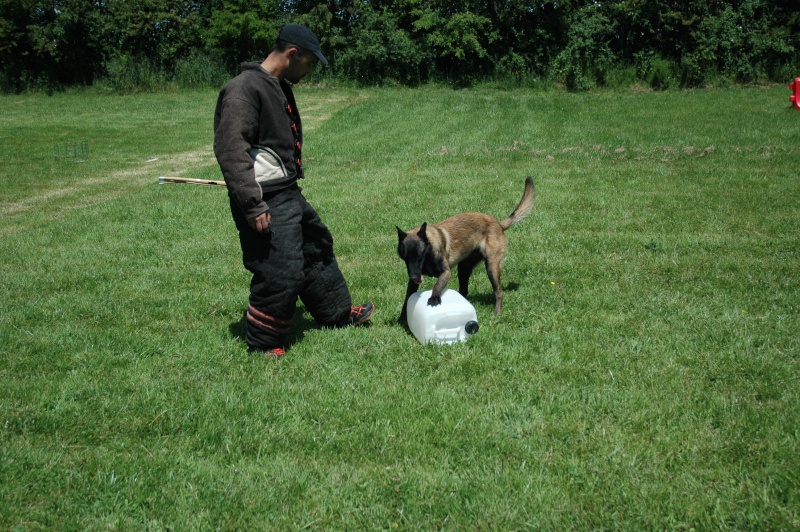 Chiot débourrage. - Page 8 02410