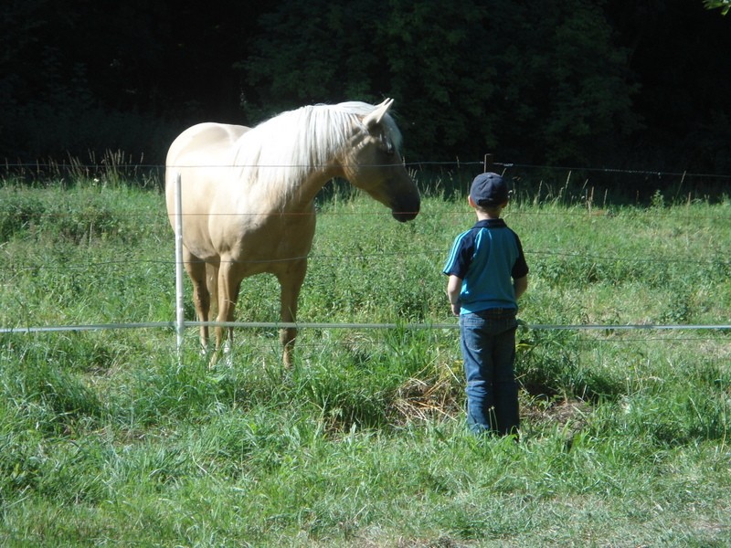 report de notre 24 h avec le petit fils !!!!!! Dsc04266