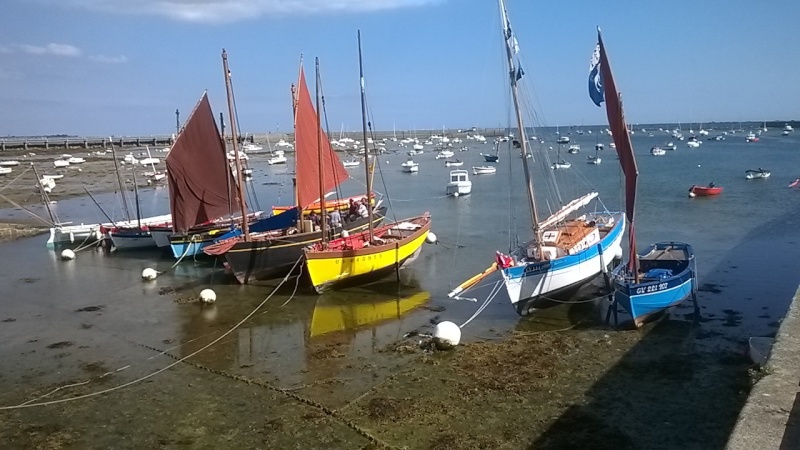 Quelques jours en Bretagne 1210