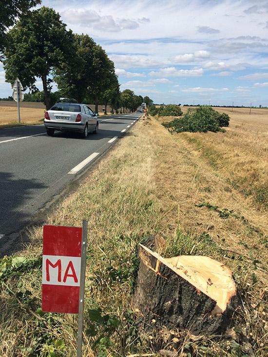 En toute grossièreté - Luçon, Vendée Clgdec10
