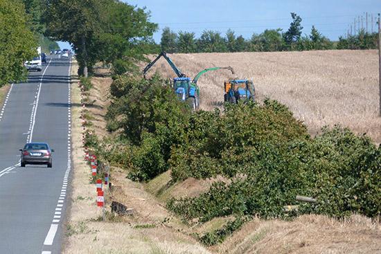 En toute grossièreté - Luçon, Vendée Clklzp10