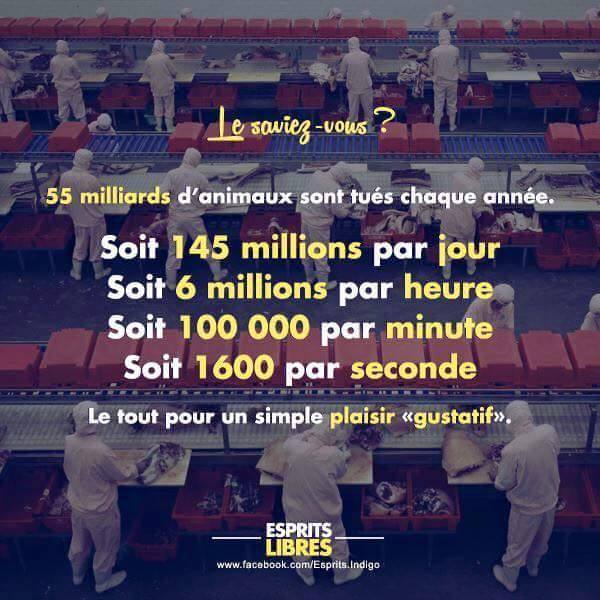 Que veut dire le mot aimer
