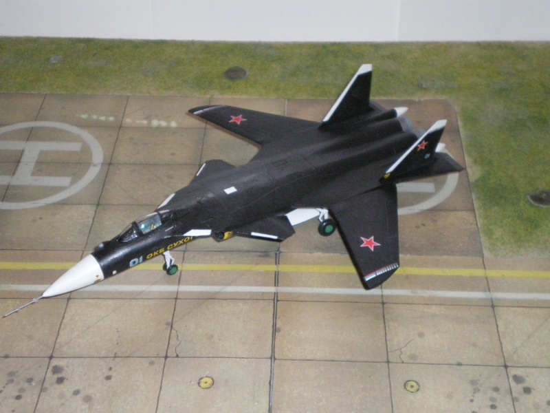 [Zvezda] Su-47 "Berkut" Imgp2221