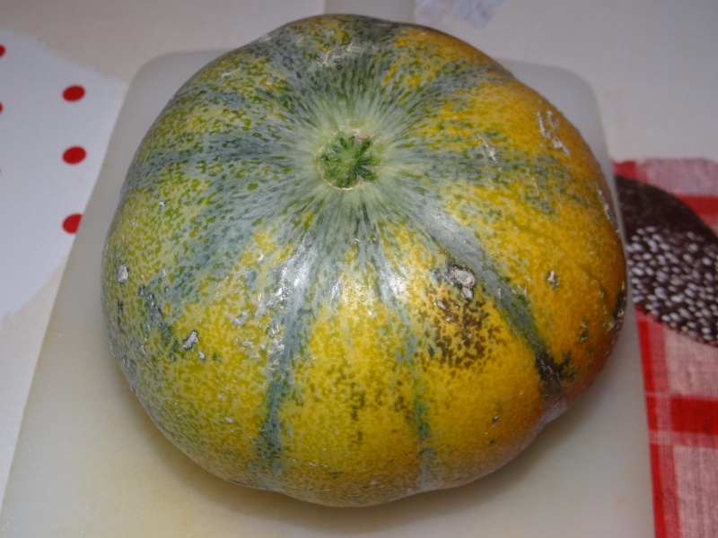 melon - Page 5 Dsc02848