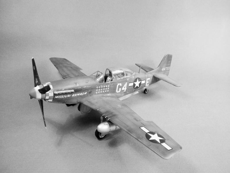 P51D Mustang 1/48 1011