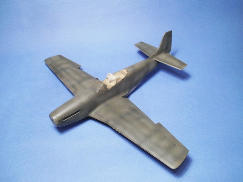 P51D Mustang 1/48 - Page 2 3910