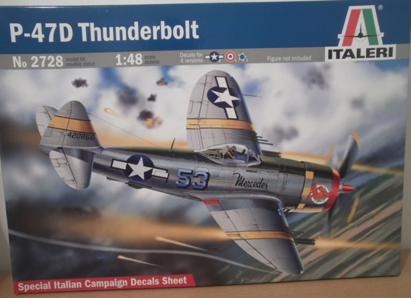 P51D Mustang 1/48 - Page 2 P7120010