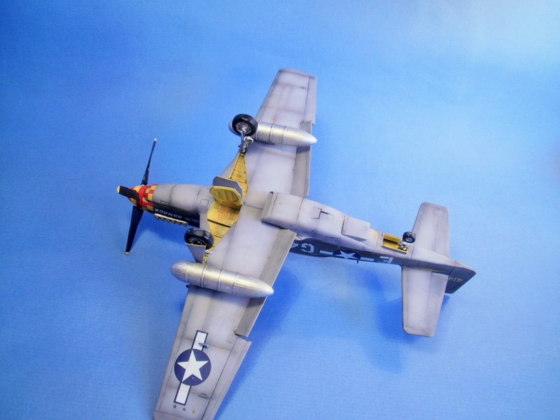 P51D Mustang 1/48 P7240010