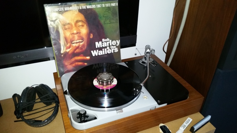 Reggae time! 2015-012