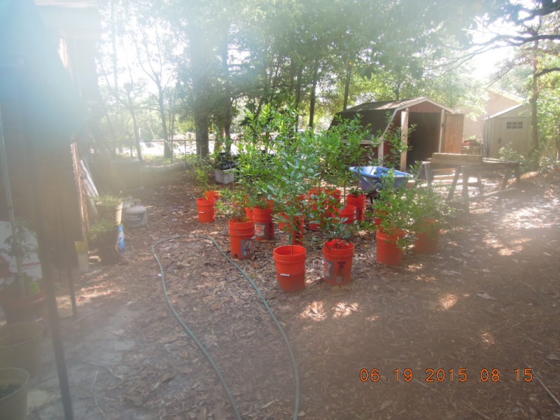 Lower South June 2015 Dscn2227