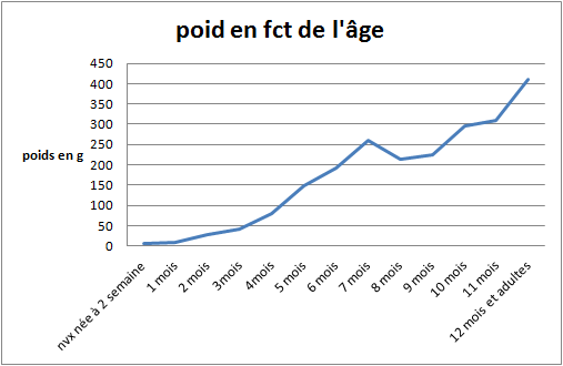 jeune pogona qui ne grandit pas et ne s'alimente pas Poids10