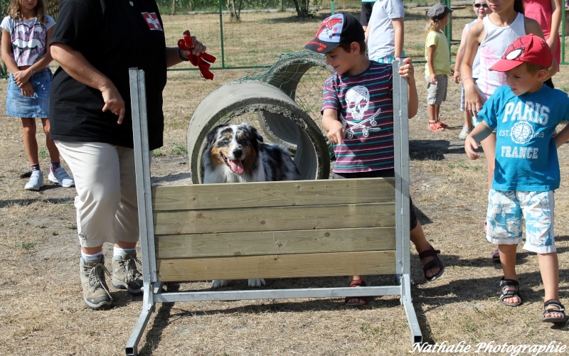  Intervention périscolaire Balgau - 22 juillet 2015 Img_3912