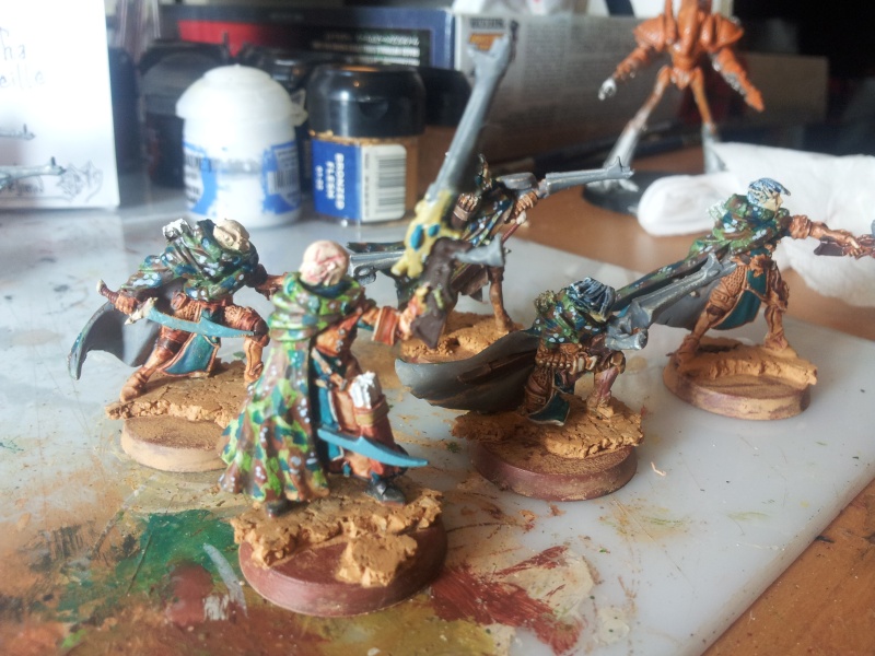 [fini][kielran][eldar] baron et pretresse sur corne d'Isha + esc de chasseurs 20150711