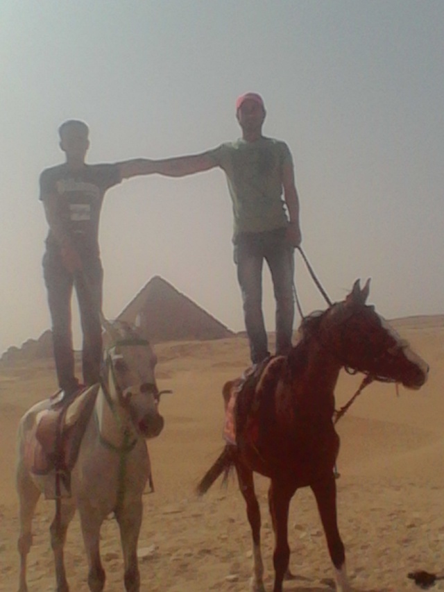 احلي ركوب خيول علي مستوي مصر في الهرم احجز رحلتك الان Img_oy16