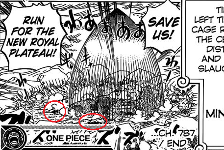One Piece Kapitel 789: Lucy!! - Seite 3