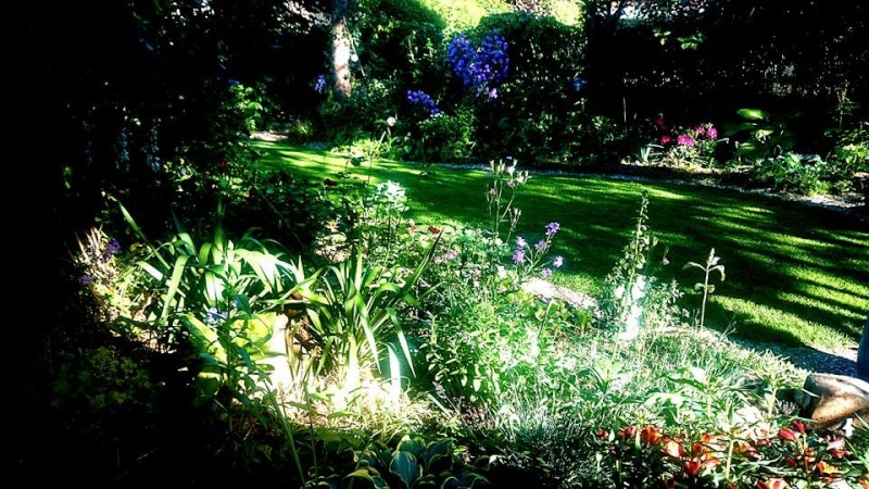 Dorina's Garten Lichts10