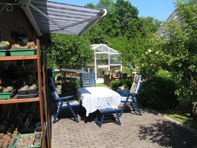 Rundgang durch meinen Garten mit vielen Kakteen (Wühlmaus) Img_6412