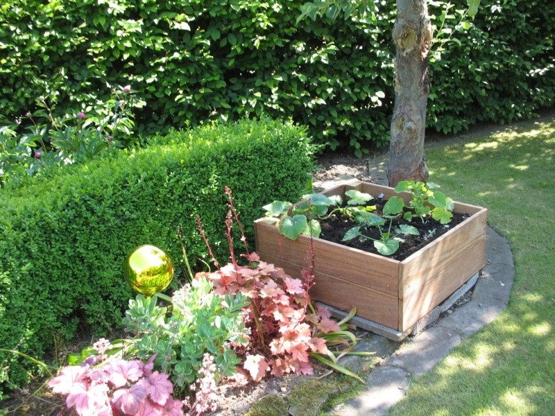 Rundgang durch meinen Garten mit vielen Kakteen (Wühlmaus) Img_6426