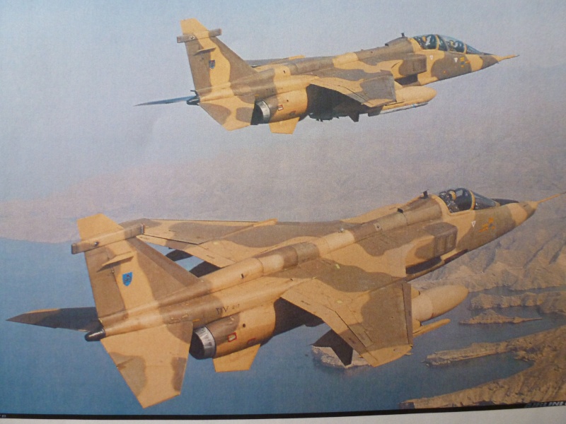 jaguar a - Jaguar GR 3 A Sultant d' Oman    Hasegawa + Italeri + Airewaves  1/72 ème 06810