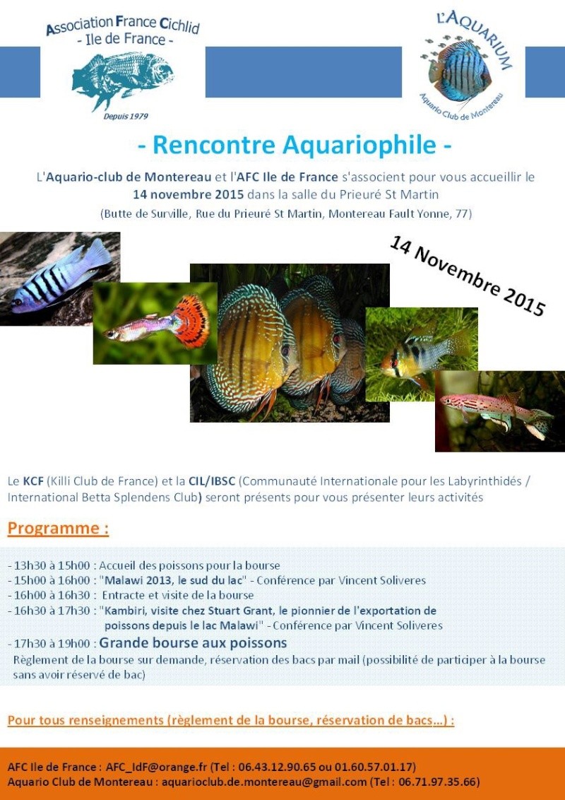 Réunion régionale AFC Paris / aqua club de Montereau 14 nov 15 Image16