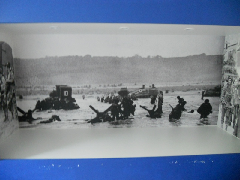 vitrine géante 2015-033