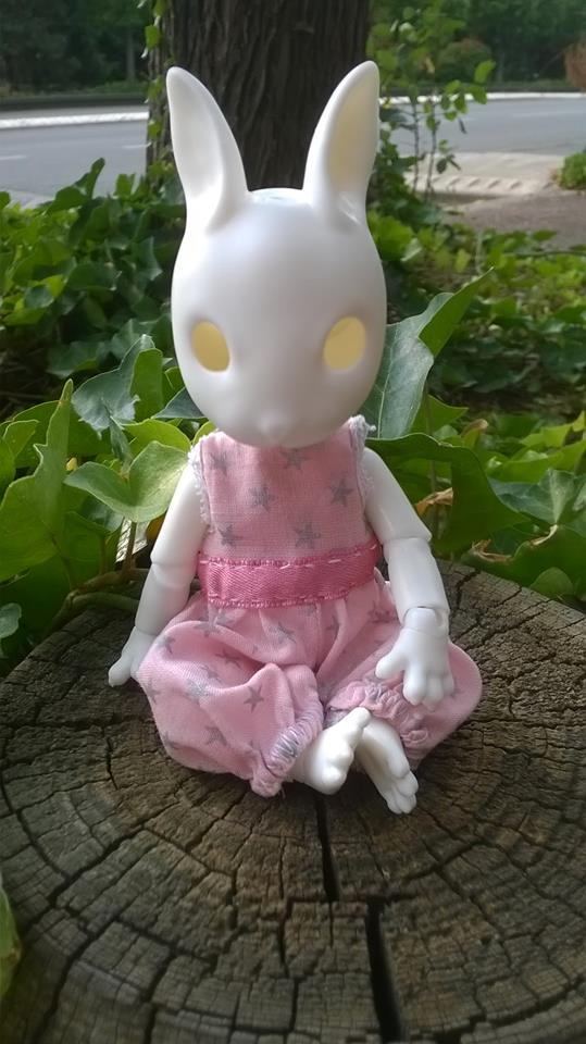 une Pullip, un minipin et une Lati yellow Miel 11836810