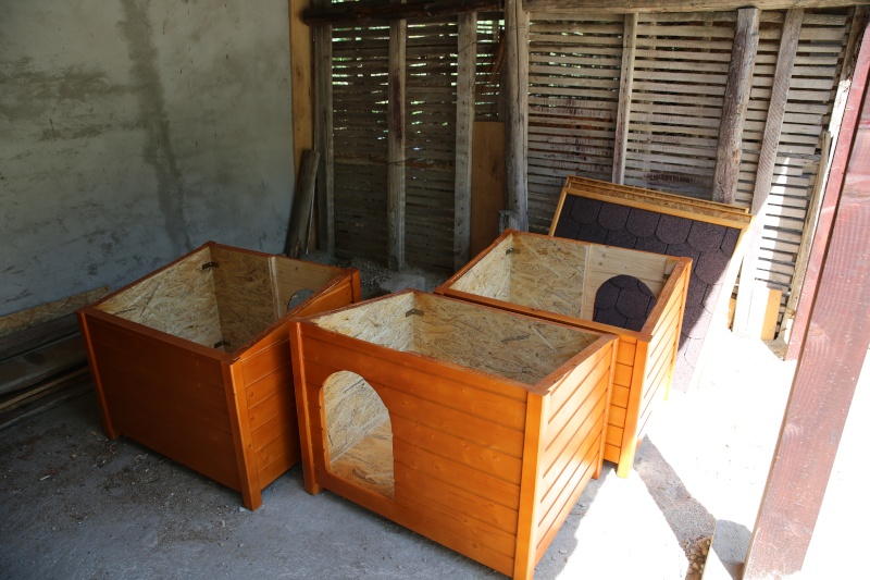 Des niches pour nos nouveaux enclos ... Hx9a4210