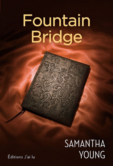 Dublin Street - Tome 1.5 : Fountain Bridge de Samantha Young Founta10