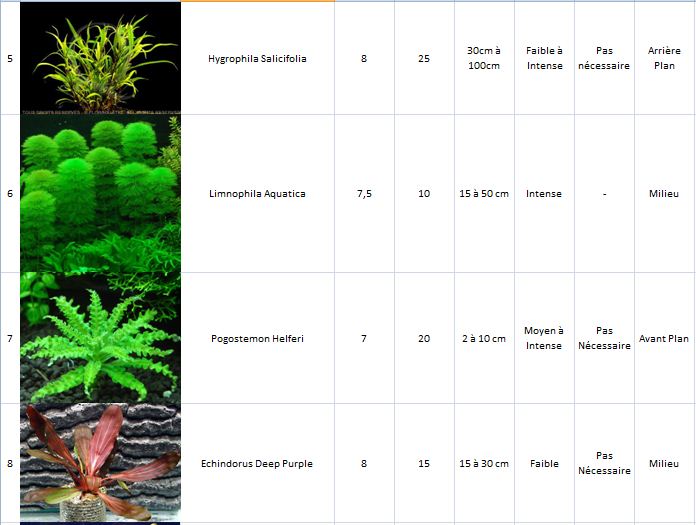 Aide pour l'installation d'un aquarium 120L (filtre, sol, plantes...) Legend11
