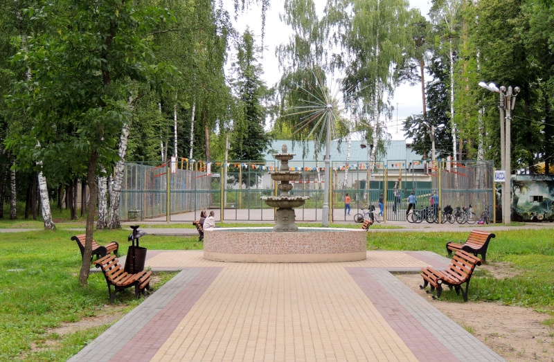 Парк культуры и отдыха им. В. Я. Степанова / Гарелинский лес Dscn6328