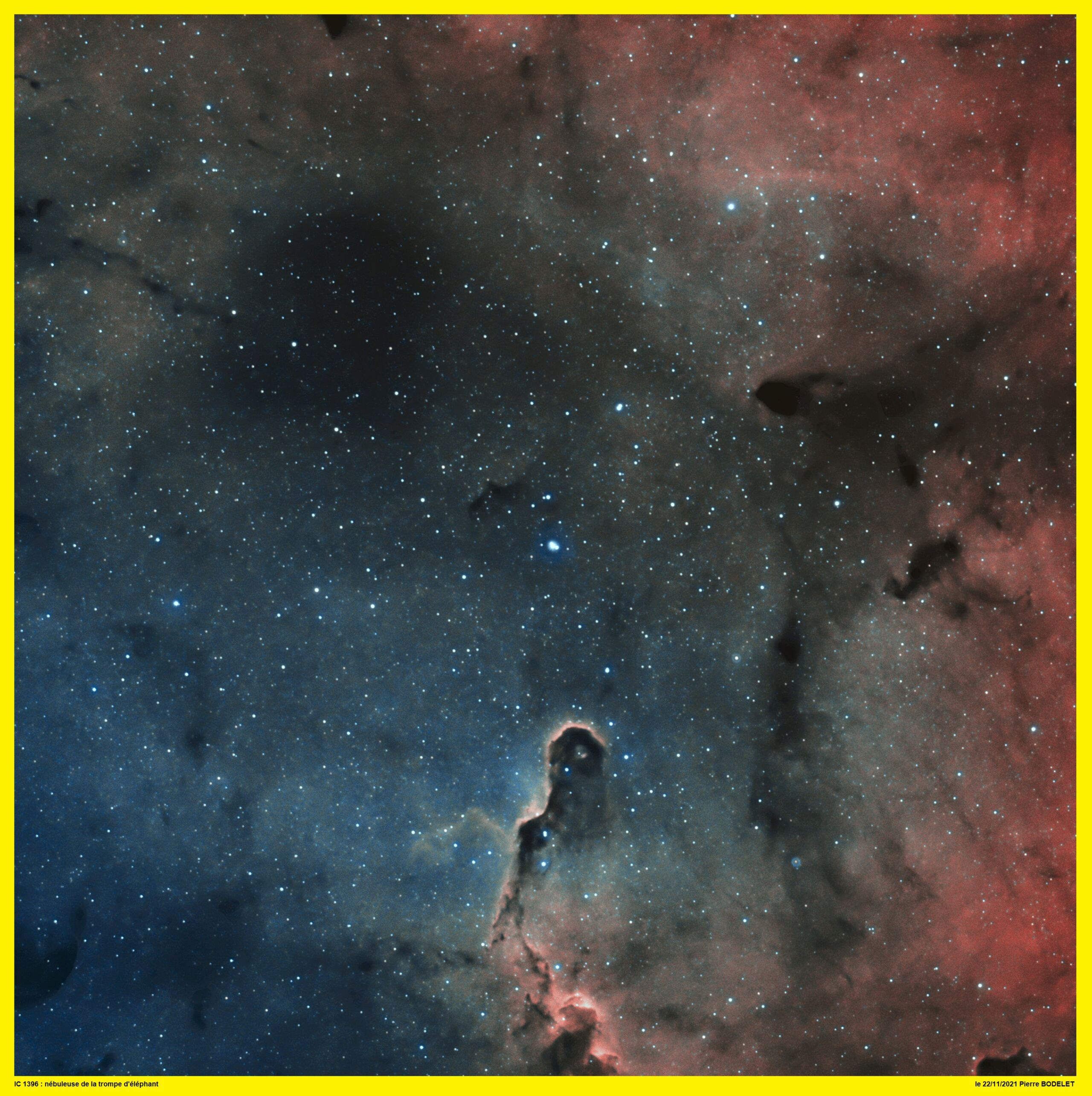 IC 1396 : la trompe de l'éléphant 20211114