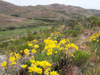 PARQUE NACIONAL LIHUÉ CALEL Sierra10