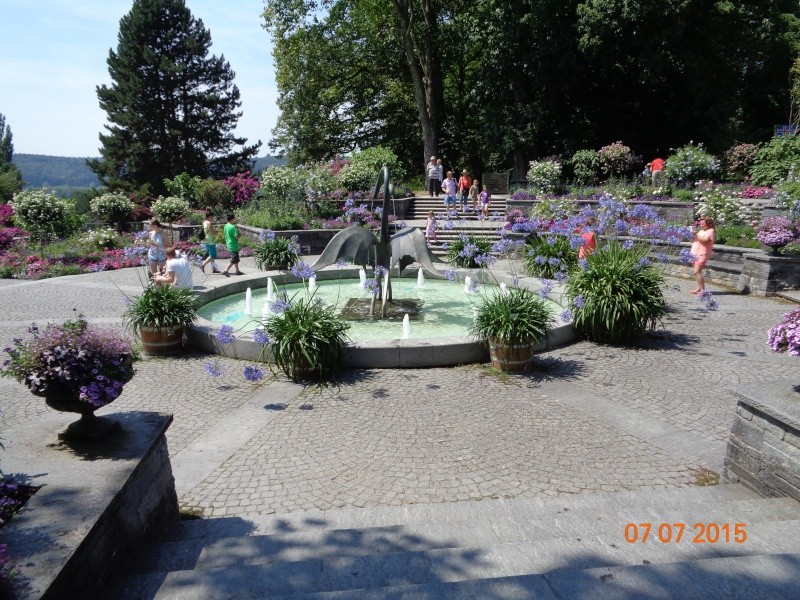 Lago di Costanza ( Bodensee ) Dsc00728