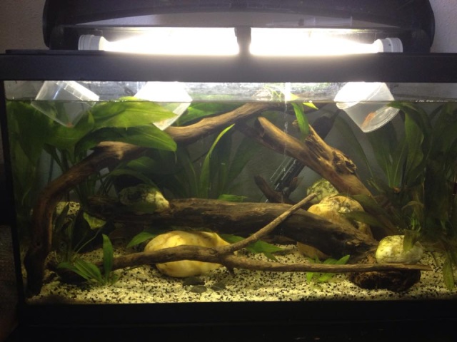 Mon Aquarium 54L 11350210