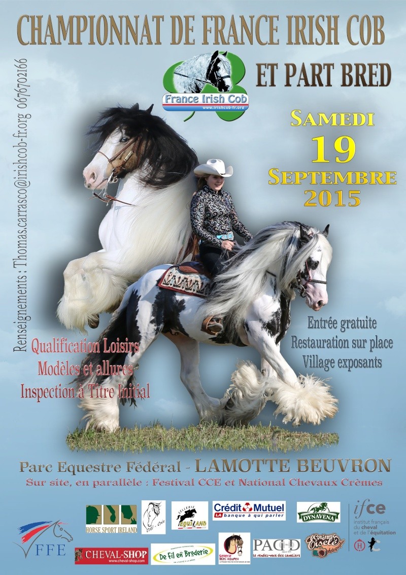 National de race Irish Cob, ITI, QL 19 septembre 2015 Affich10