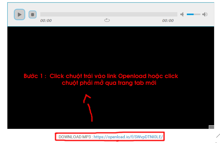 [Hướng Dẫn] Cách tải link Openload  Mwsnap13