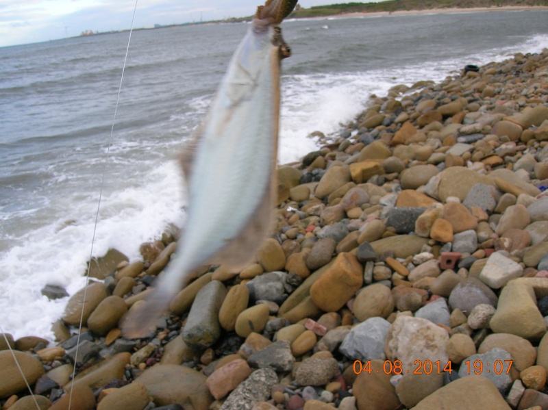 Newbiggin by the sea pt1 Dscn7516