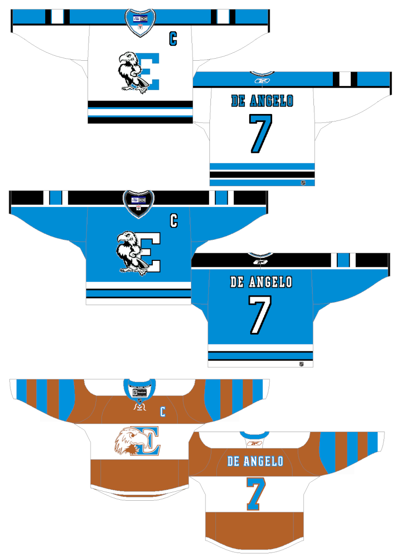 Edmonton Journal Jersey12