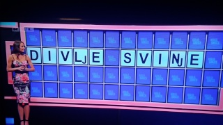 Divlje Svinje