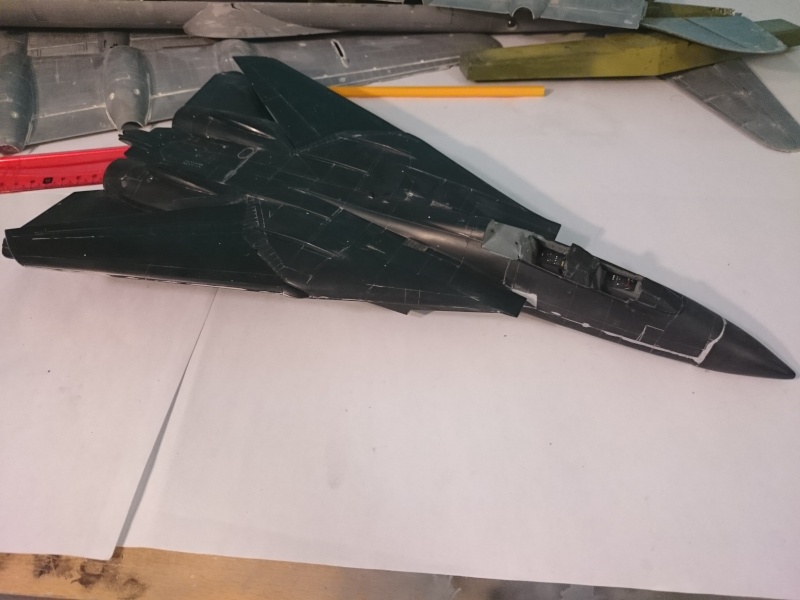 Rénovation F-14A Black Tomcat - Revell 1/48 Dsc_0116