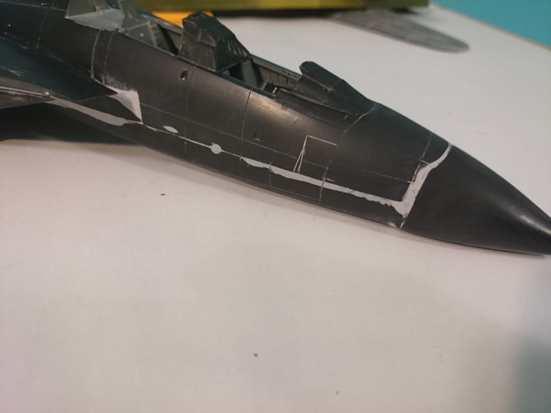 Rénovation F-14A Black Tomcat - Revell 1/48 Dsc_0117